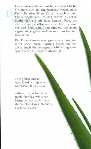 gebrauchtes Buch – Kathrin Schmidt – Du stirbst nicht