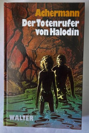 Der Totenrufer von Halodin. Roman aus der ersten Eisenzeit