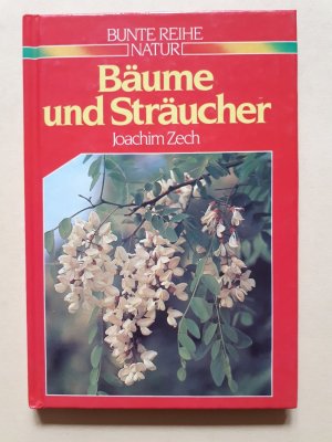 Bäume und Sträucher