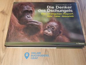 Die Denker des Dschungels - Der Orangutan-Report