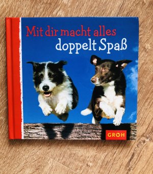 gebrauchtes Buch – Dorothée Bleker – Mit dir macht alles doppelt Spass