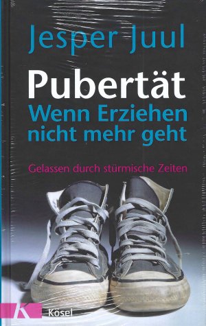 Pubertät - Wenn Erziehung nicht mehr geht - Gelassen durch stürmische Zeiten