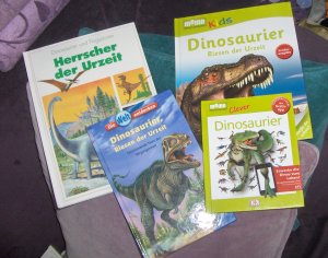 gebrauchtes Buch – Dinosaurier und Flugsaurier Riesen der Urzeit