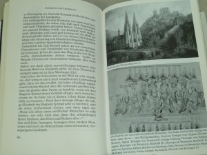 gebrauchtes Buch – Wies, Ernst W – Elisabeth von Thüringen Die Provokation der Heiligkeit