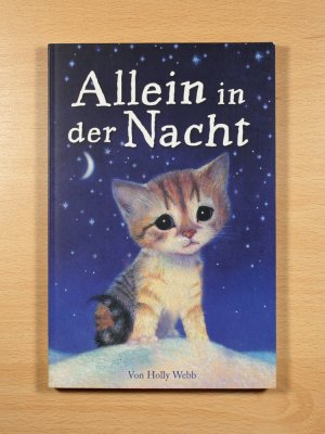 Allein in der Nacht