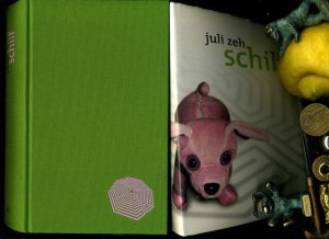 gebrauchtes Buch – Juli Zeh – Schilf.