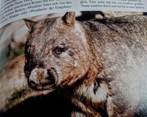 Enzyklopädie _ Säugetiere _ 5 Bände