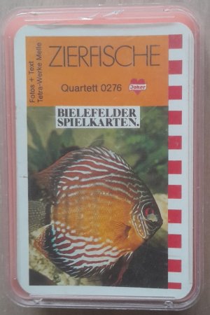 Zierfische Quartett 0276