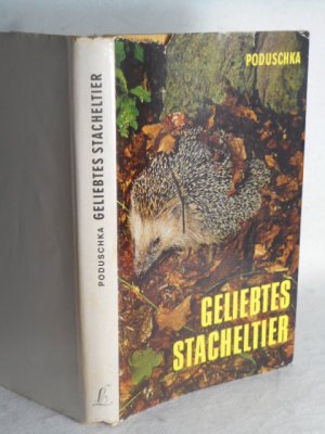 Geliebtes Stacheltier.  >> Verhalten und Aufzucht von Igeln<<