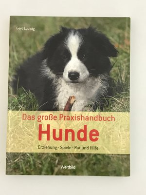 Das große Praxishandbuch Hunde