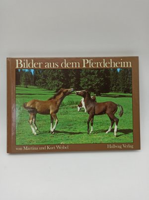 gebrauchtes Buch – Bilder aus dem Pferdeheim