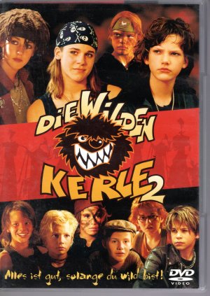 Die Wilden Kerle 2