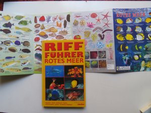 gebrauchtes Buch – Helmut Debelius – Riff-Führer Rotes Meer Ägypten, Israel, Jordanien, Sudan, Saudi-Arabien, Jemen, Arabische Halbinsel Oman, VAE, Bahrein + Fisch-Tafel