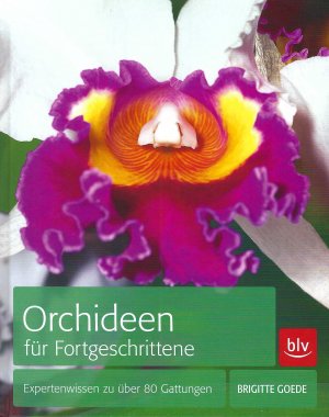 Orchideen für Fortgeschrittene