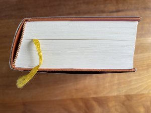 gebrauchtes Buch – Lucinda Riley – Die Sonnenschwester