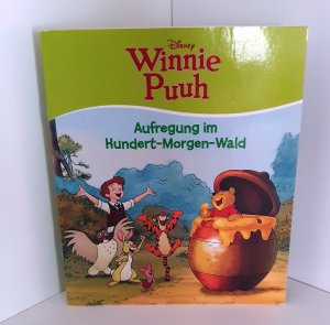 gebrauchtes Buch – Disney Enterprises, Inc – Disney Winnie Puuh - Aufregung im Hundert-Morgen-Wald, Minibuch