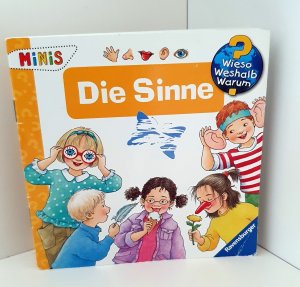 gebrauchtes Buch – Angela Weinhold – Wieso? Weshalb? Warum? Die SINNE. Minis. Mini-Buch