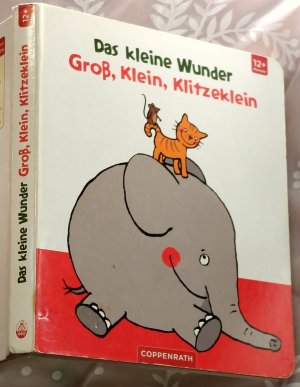 gebrauchtes Buch – Sandra Grimm – Das kleine Wunder - Groß, Klein, Klitzeklein - Pappbilderbuch