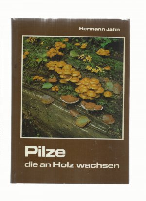 PILZE DIE AN HOLZ WACHSEN