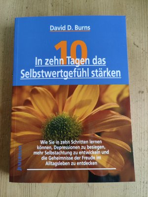 In zehn Tagen das Selbstwertgefühl stärken - In 10 Schritten Depressionen besiegen, Selbstachtung entwickeln und Freude im Alltagsleben entdecken