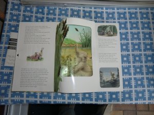 gebrauchtes Buch – Bos, Burny; de Beer – Olli der kleine Elefant