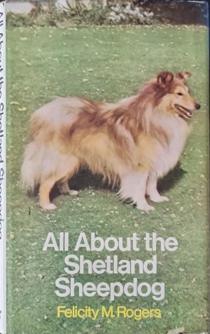 All About the Shetland Sheepdog