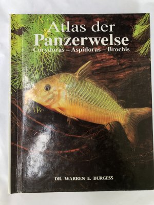 Atlas der Panzerwelse Corydoras Aspidoras Brochis