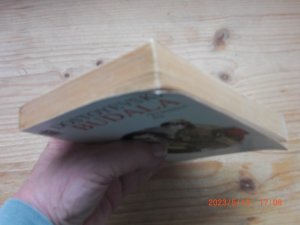 gebrauchtes Buch – Dostoyevski – Budala 2