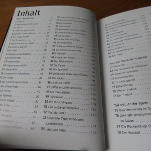 gebrauchtes Buch – Randi Foxx – Best Sex - Die 101 schärfsten Stellungen