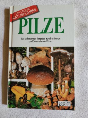 Pilze