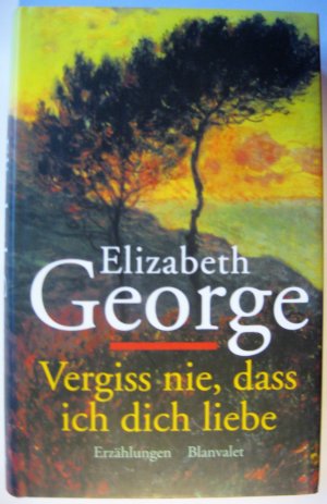 gebrauchtes Buch – Elizabeth George – Vergiss nie, dass ich dich liebe