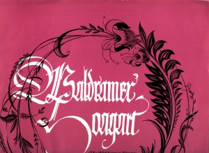 gebrauchter Tonträger – Die Waldramer Sänger und Musikanten – Waldramer Konzert