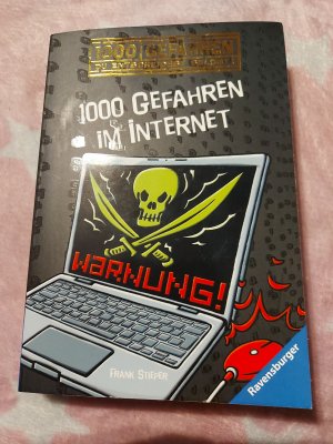 gebrauchtes Buch – Frank Stieper – 1000 Gefahren im Internet