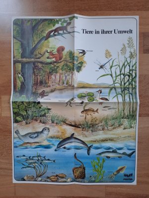 gebrauchtes Buch – Treff-Poster - Tiere in ihrer Umwelt - mit Informationen auf der Rückseite