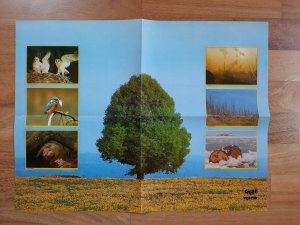 gebrauchtes Buch – Treff-Poster - Natur in Gefahr - mit Informationen auf der Rückseite