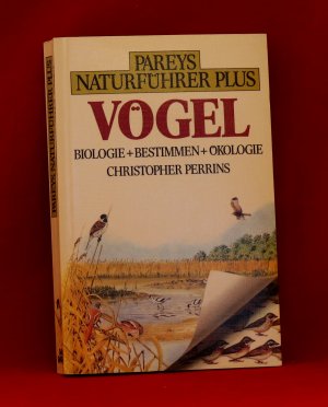 gebrauchtes Buch – Christopher Perrins – Pareys Naturführer6 Plus - Vögel - Biologie Bestimmen + Ökologie