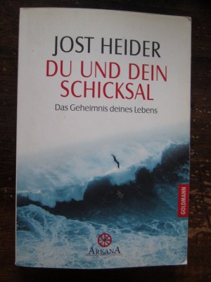 gebrauchtes Buch – Jost Heider – Du und Dein Schicksal