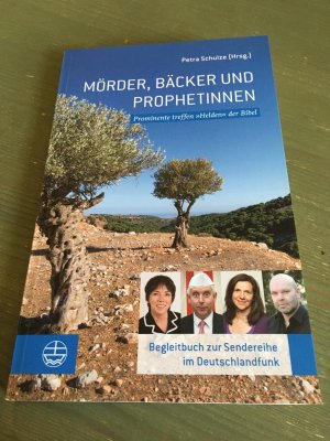 gebrauchtes Buch – Petra Schulze – Abel baut sich ein Haus - Prominente treffen "Helden" der Bibel