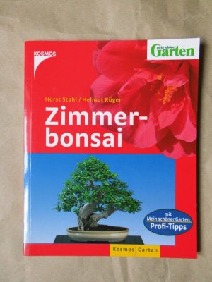 Zimmerbonsai