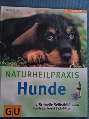 gebrauchtes Buch – Petra Stein – Hunde, Naturheilpraxis