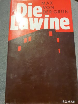 gebrauchtes Buch – Die Lawine