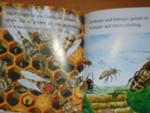 gebrauchtes Buch – Wirth, Doris; Richter – Bambini Bienen  -  Benny Blu Nr. 1046