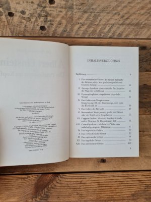 gebrauchtes Buch – Stephen Juan – Albert Einstein oder Die Putzkolonne im Kopf