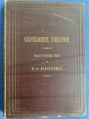 Gefiederte Freunde, Erläuternder Text