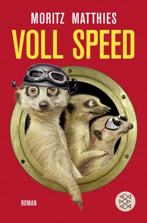 gebrauchtes Buch – Moritz Matthies – Voll Speed