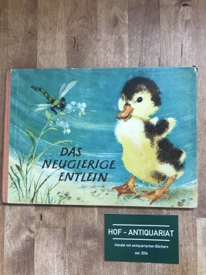 Das neugierige Entlein - 2.Auflage 1953 !! für Kinder ab 3 Jahren