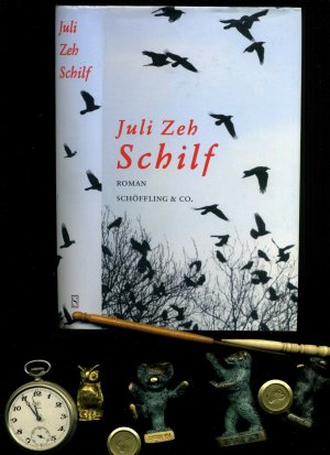 Schilf.