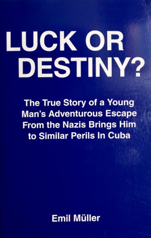 Luck or Destiny?: The True Story of a Young Man