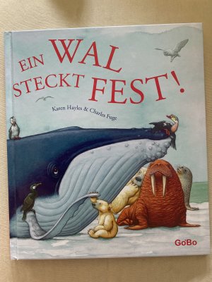 Ein Wal steckt fest