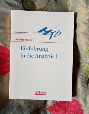 Einführung in die Analysis